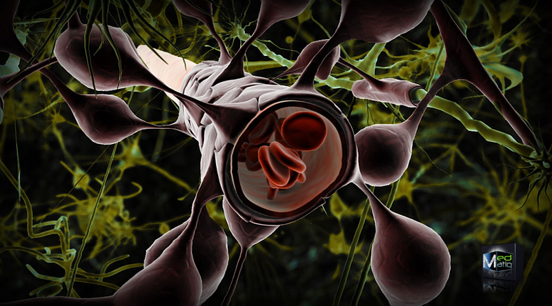 Illustration for article titled Scientists Discover A New Link Between The Brain And The Immune System